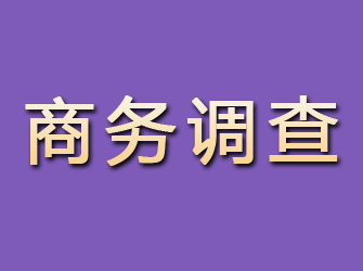 七里河商务调查